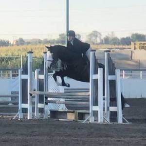 Meet your Posher, Maddi